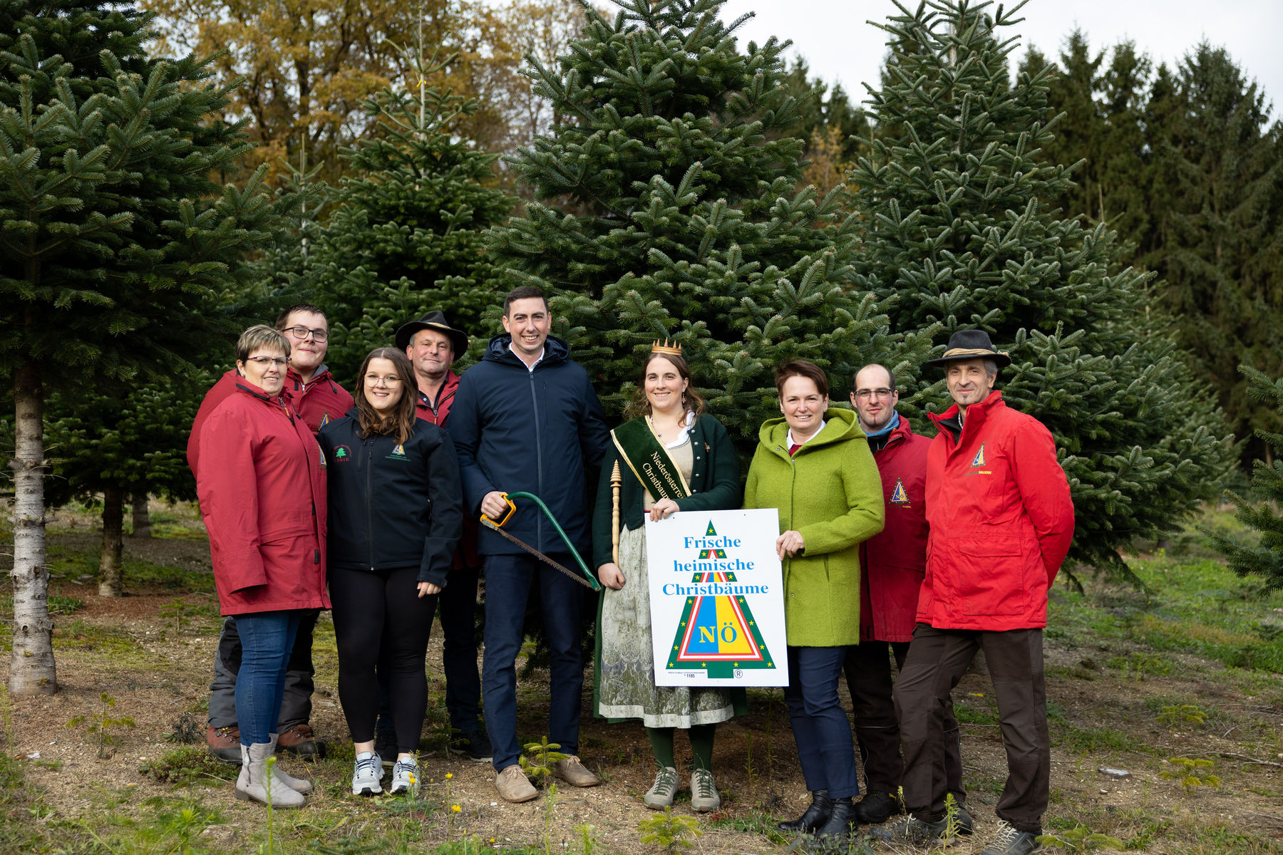 Baum für Brüssel 2024