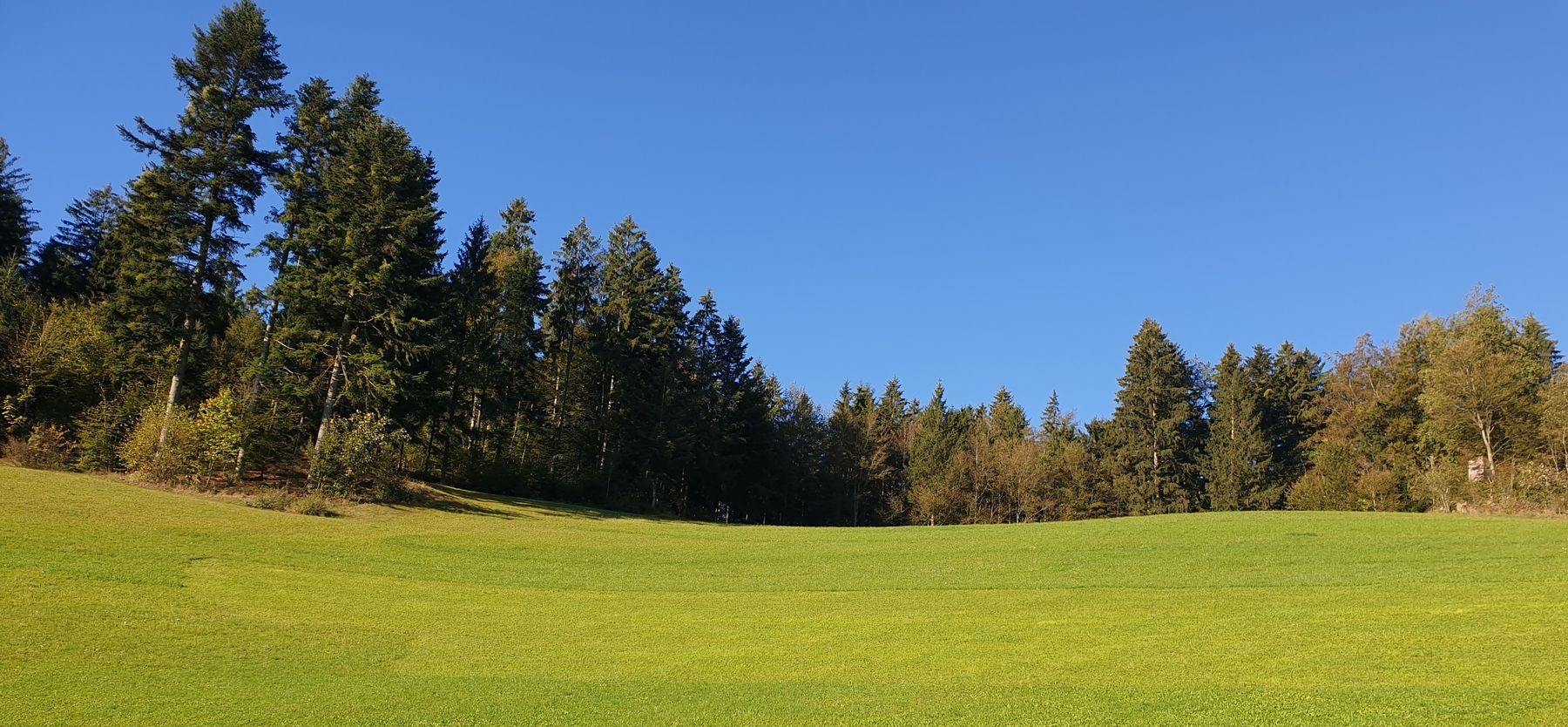 Landschaft Grünland.jpg