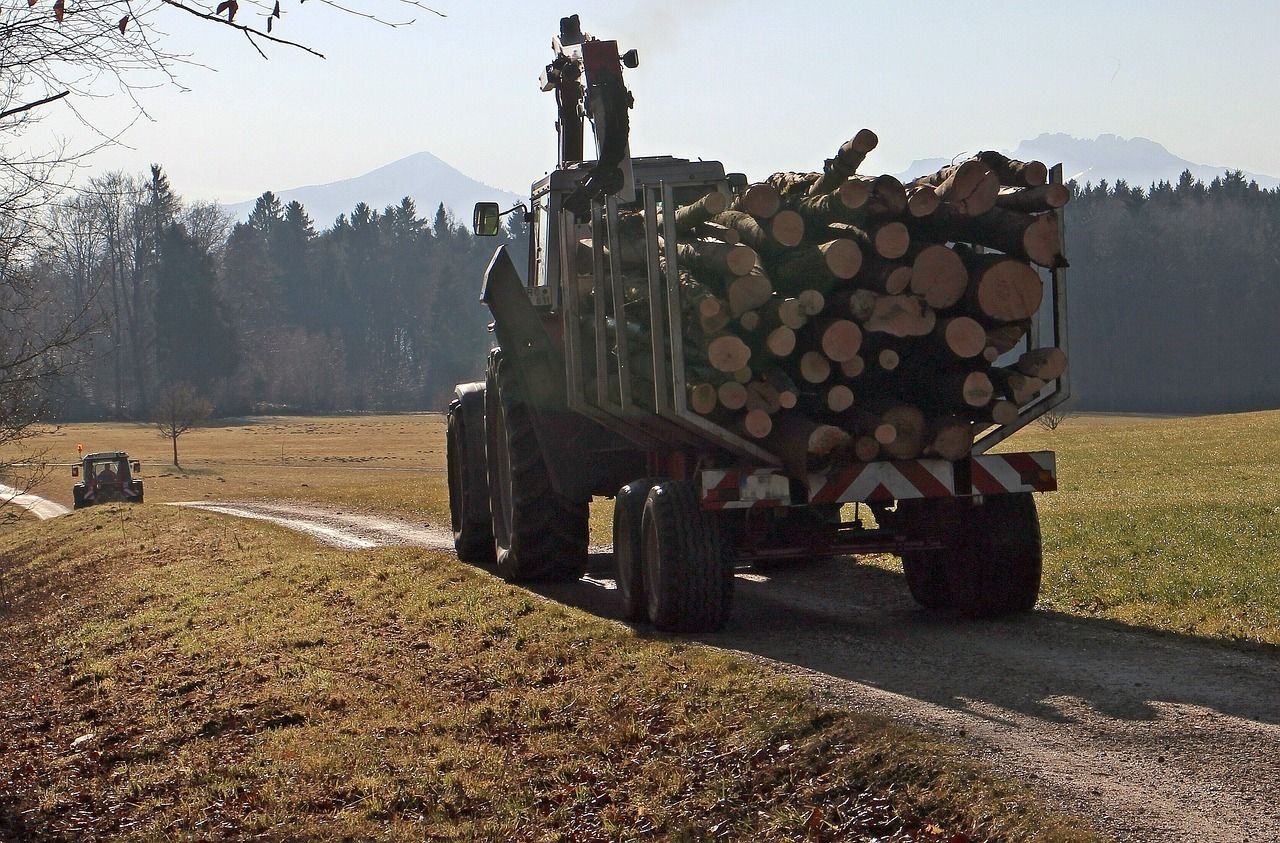 Holz abtransportiert mit Traktor.jpg © pixabay.com