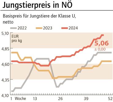 Grafik Stierpreis 48_2024.jpg © LK NÖ