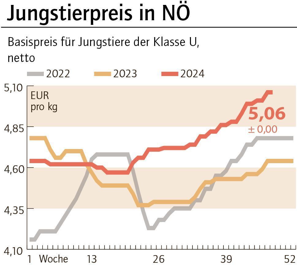 Grafik Stierpreis 48_2024.jpg © LK NÖ Grafik Stierpreis 48_2024.jpg © LK NÖ