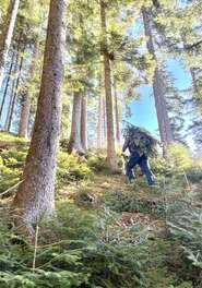 sb48_mb_wald.jpg © Heinz Bayer sb48_mb_wald.jpg © Heinz Bayer