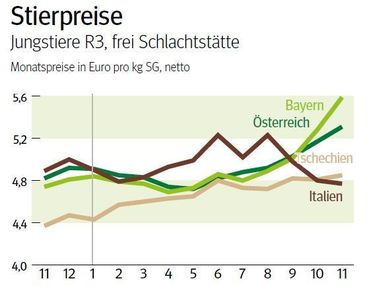 NÖ: Ausblick auf den NÖ Schlachtstiermarkt im Dezember 2024