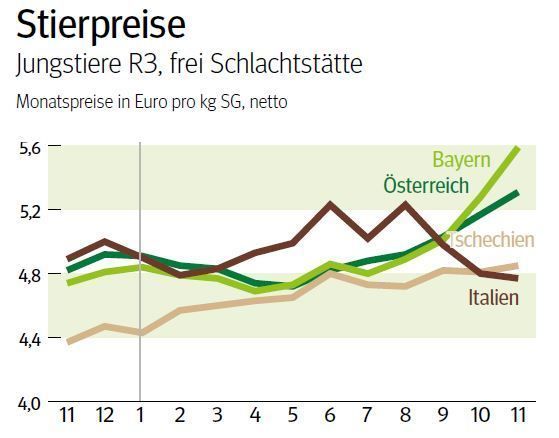 NÖ: Ausblick auf den NÖ Schlachtstiermarkt im Dezember 2024