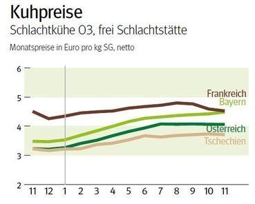 NÖ: Ausblick auf den Schlachtkuhmarkt im Dezember 2024