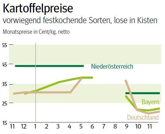 NÖ: Ausblick auf den Kartoffelmarkt im Dezember 2024