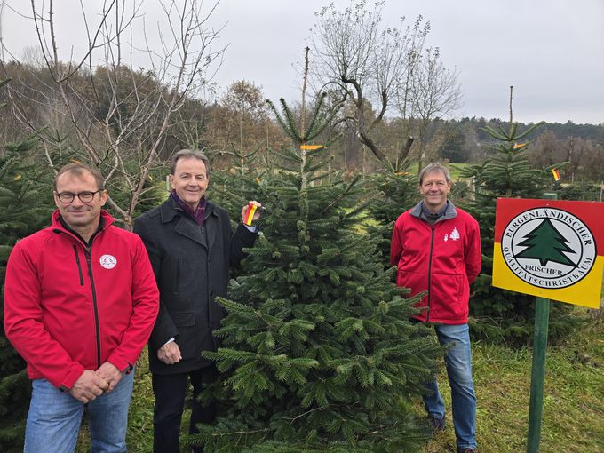 Christbaumsaison eröffnet.jpg © LKBgld_Tesch-Wessely Christbaumsaison eröffnet.jpg © LKBgld_Tesch-Wessely