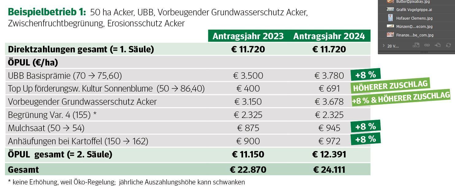 AMA Auszahlung Beispiel Betrieb 1.jpg