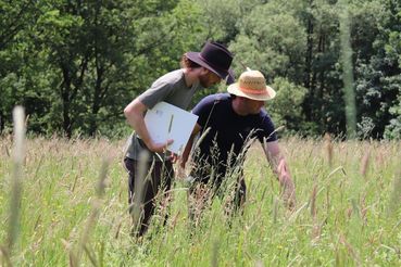 Biodiversitätsmonitoring.jpg