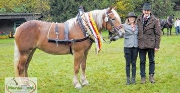 Norika.jpg © LPZV Norika.jpg © LPZV