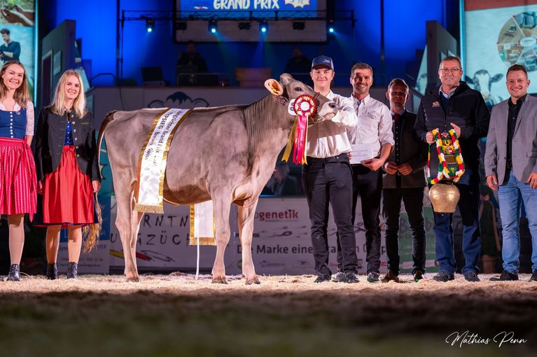Gesatmsieger der Rasse Brown Swiss von Stefan Petschar (Kärnten) ©Mathias Penn.jpg © Mathias Penn Gesatmsieger der Rasse Brown Swiss von Stefan Petschar (Kärnten) ©Mathias Penn.jpg © Mathias Penn
