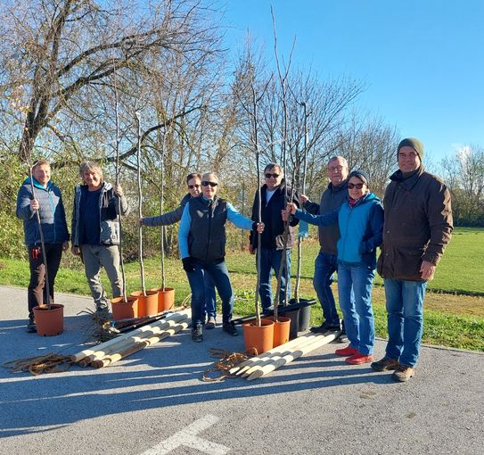 Pressefoto Obstbaumpflanzaktion 2024.jpg