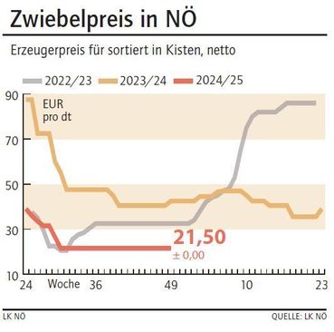 Grafik Zwiebelpreis 49_2024.jpg © Archiv