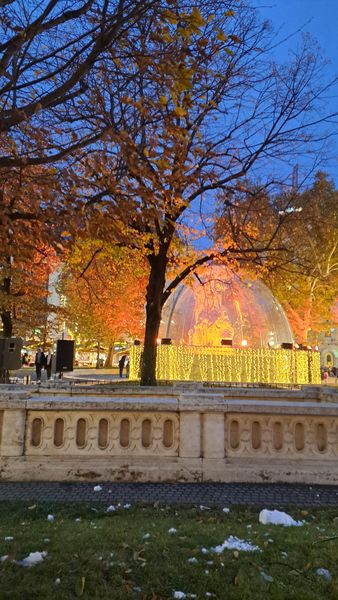 22112024 (15).jpg 22112024 (15).jpg
