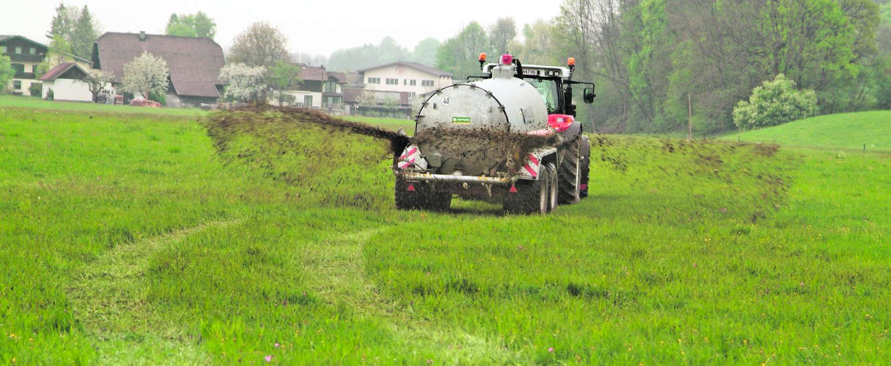 Prallteller.jpg © Wolfgang Dürnberger Prallteller.jpg © Wolfgang Dürnberger