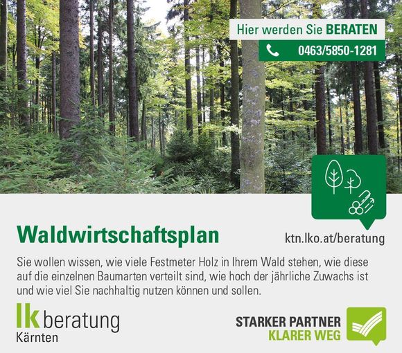 Waldwirtschaftsplan_Sujet.jpg © Archiv Waldwirtschaftsplan_Sujet.jpg © Archiv