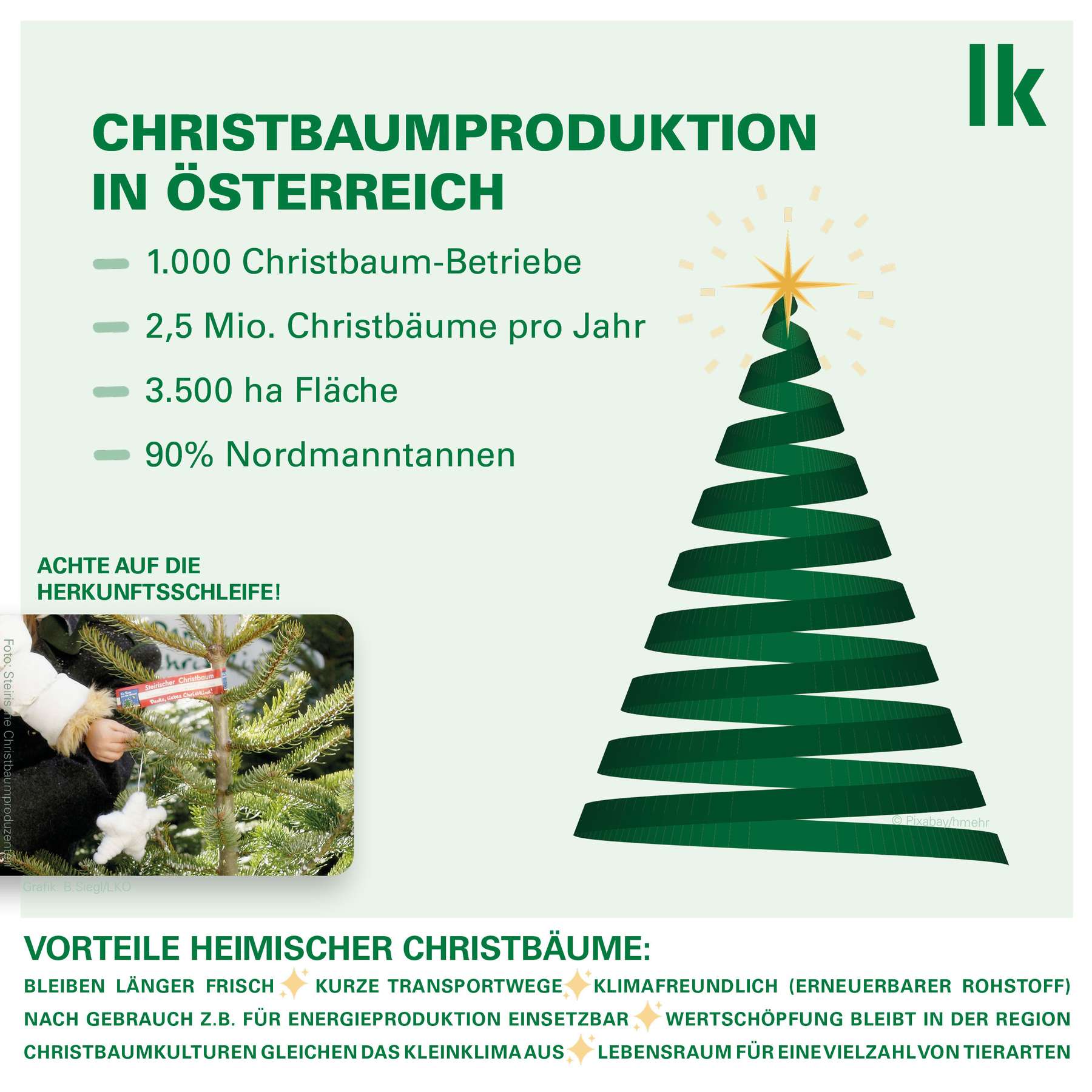 Sharepic Christbäume.jpg © LKÖ_Siegl