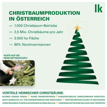 Sharepic Christbäume.jpg