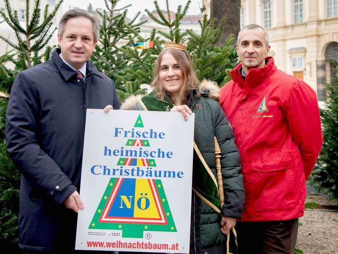 Gruppenbild Christbaumsaison2024.jpg