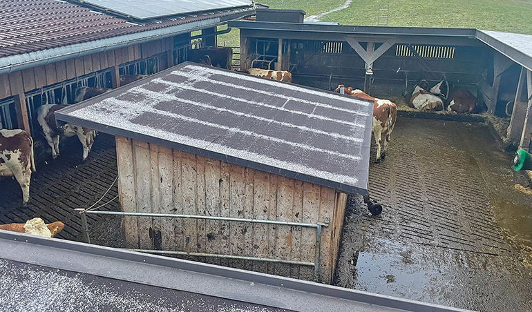 Salzmann1.jpg © Kronreif Salzmann1.jpg © Kronreif