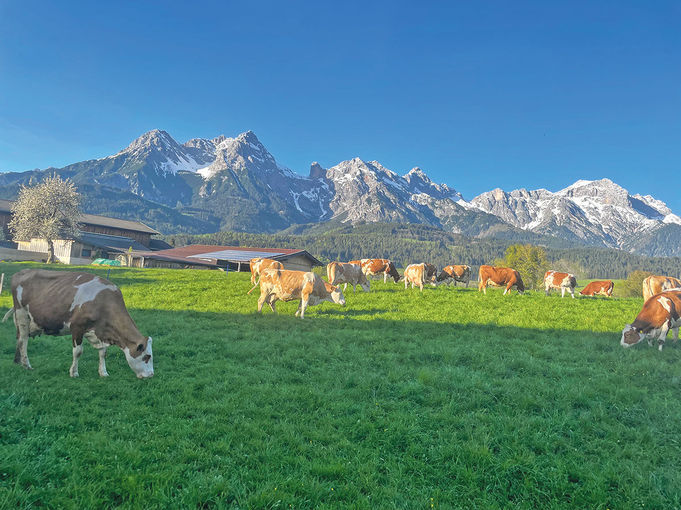 Salzmann2.jpg © Privat Salzmann2.jpg © Privat