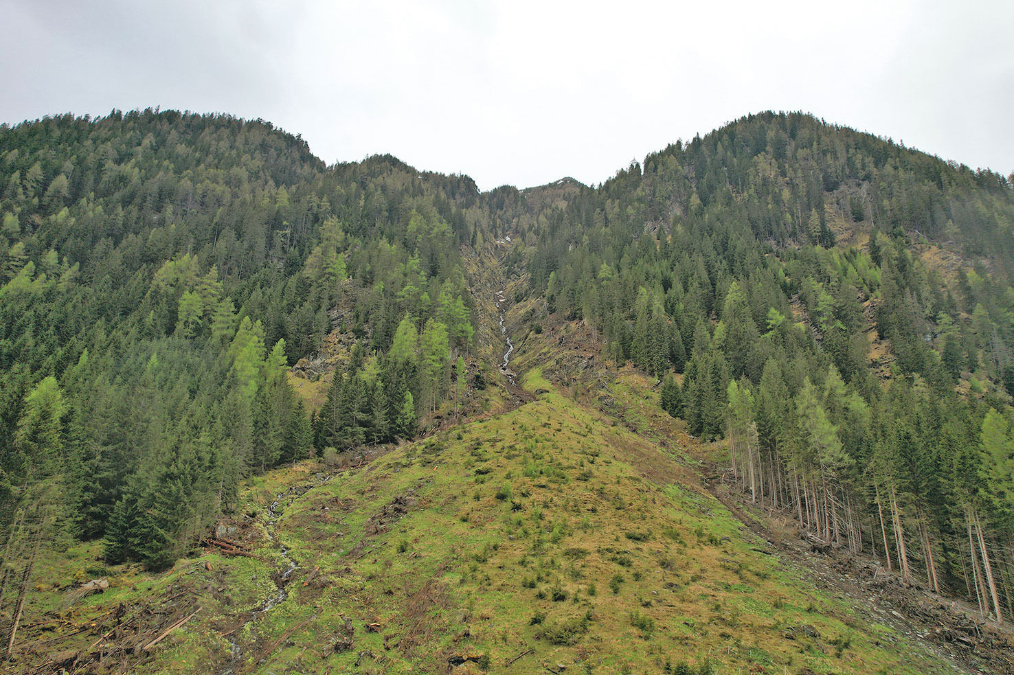 Staatspreis Göriach1.jpg