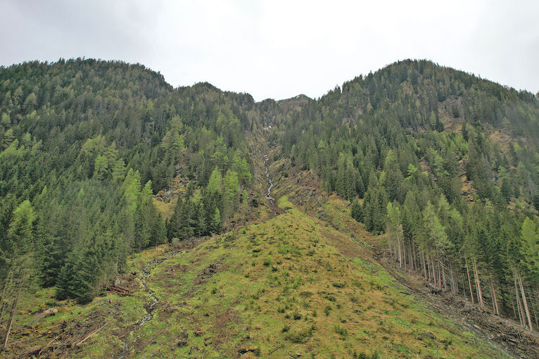 Staatspreis Göriach1.jpg © Archiv