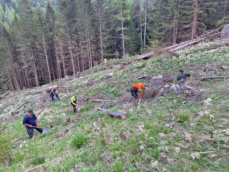 Staatspreis Göriach4.jpg © Archiv