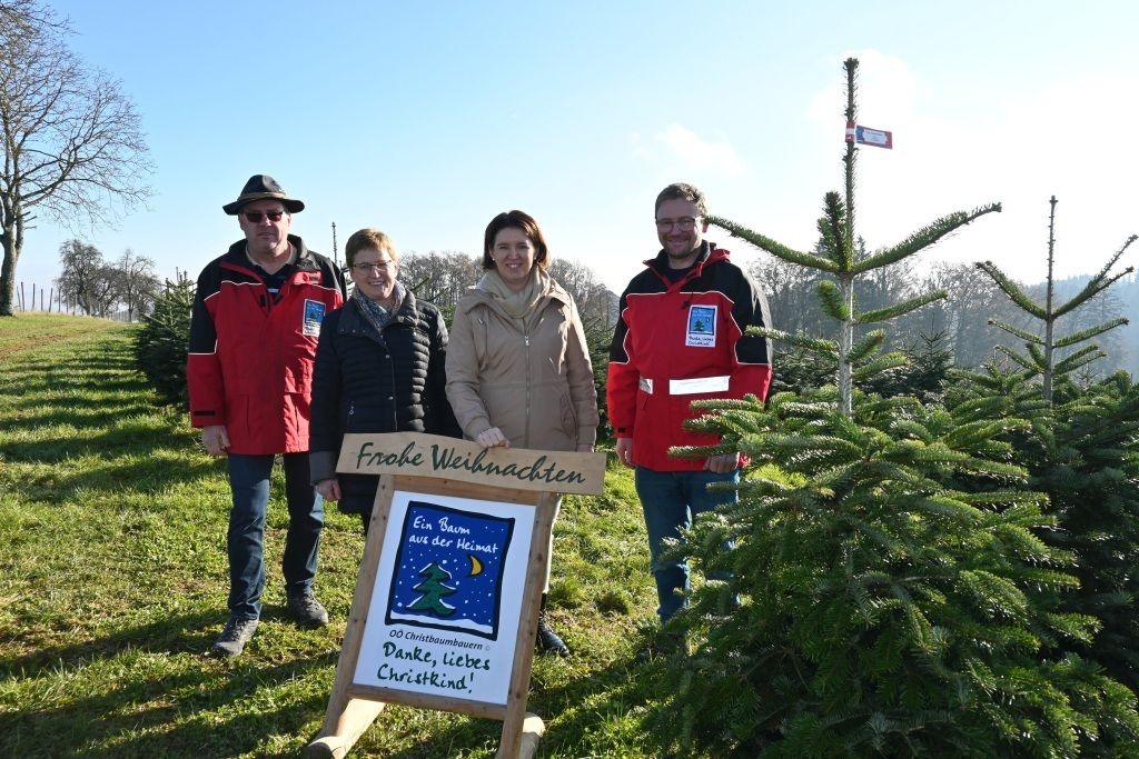 Christbaum_Saisonauftakt_LK OÖ_klein.jpg © Landwirtschaftskammer OÖ Christbaum_Saisonauftakt_LK OÖ_klein.jpg © Landwirtschaftskammer OÖ
