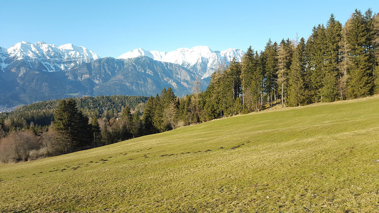 Landschaft-Berge-Wald-Wiese-Felder-Fru╠êhling-Innsbruck-Land 02 Messner.jpg