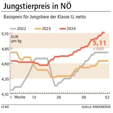 Grafik Stierpreis 50_2024.jpg © LK NÖ Grafik Stierpreis 50_2024.jpg © LK NÖ