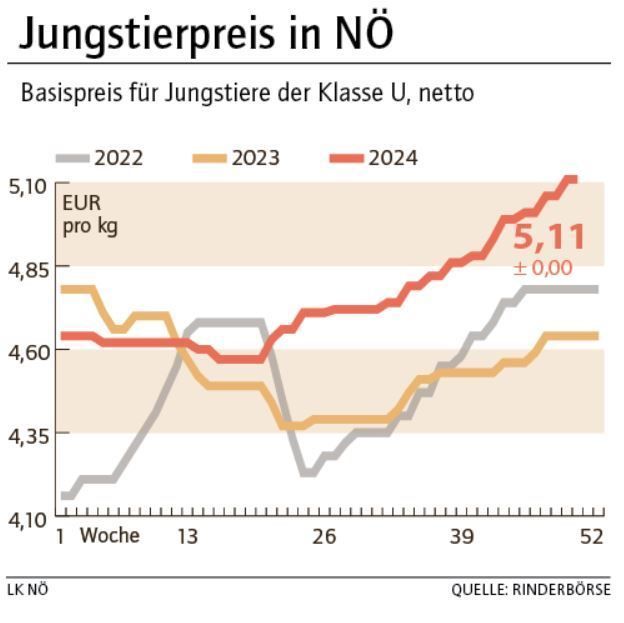 Grafik Stierpreis 50_2024.jpg © LK NÖ