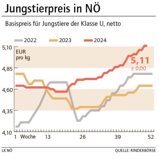 Grafik Stierpreis 50_2024.jpg © LK NÖ Grafik Stierpreis 50_2024.jpg © LK NÖ