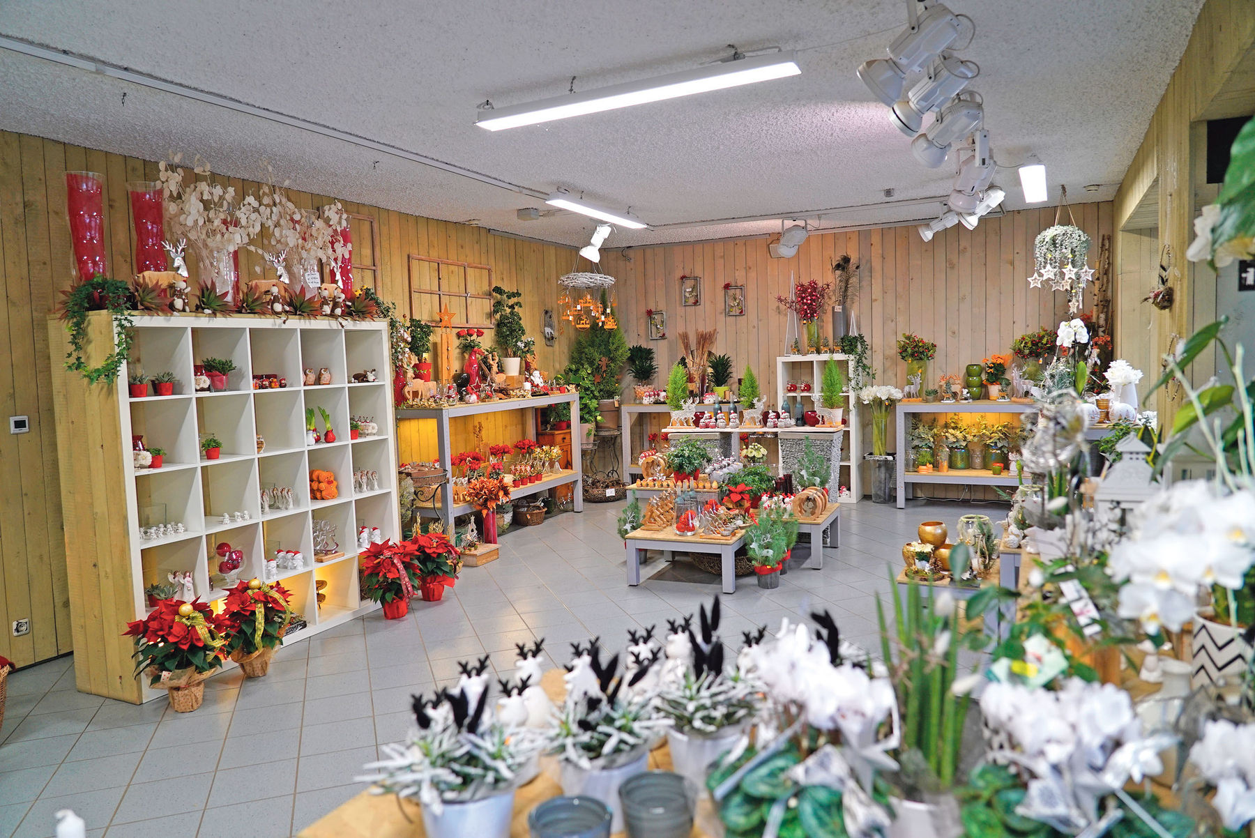 Blumen bringen Leben in unser Leben.jpg © Hatheier Blumen bringen Leben in unser Leben.jpg © Hatheier