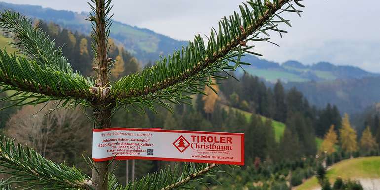 Tiroler Christbaum mit roter Schleife