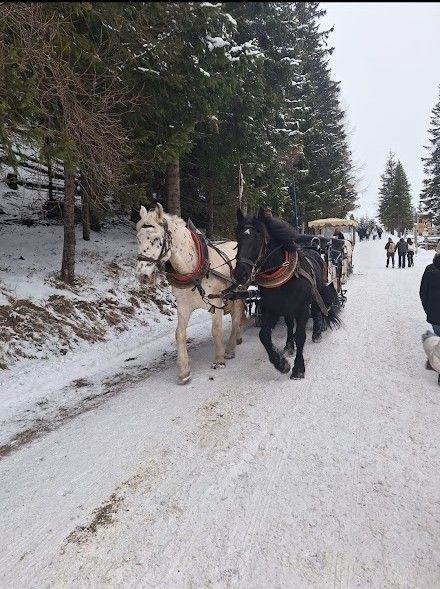 Screenshot 20241215 064839 com.whatsapp.jpg Screenshot 20241215 064839 com.whatsapp.jpg