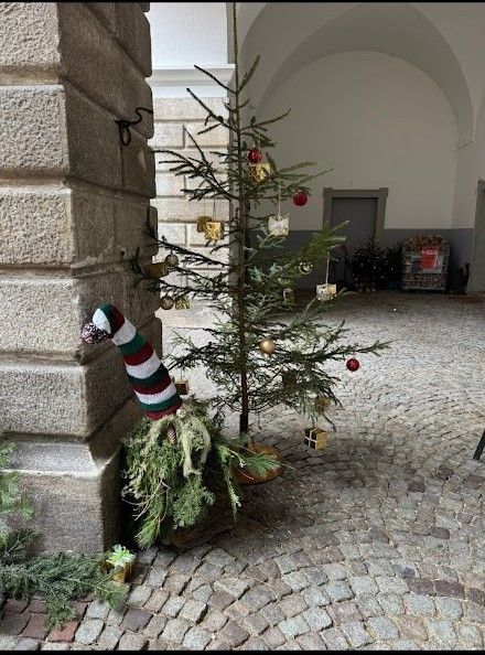 Screenshot 20241215 064850 com.whatsapp.jpg Screenshot 20241215 064850 com.whatsapp.jpg