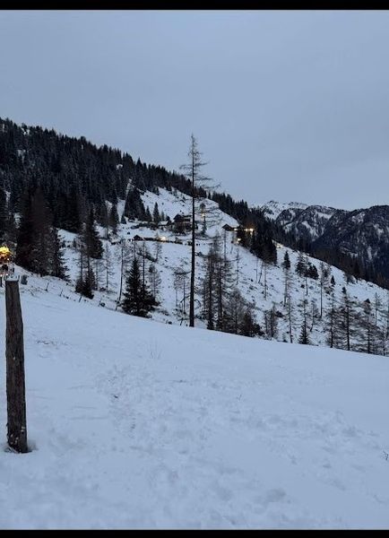 Screenshot 20241215 064855 com.whatsapp.jpg Screenshot 20241215 064855 com.whatsapp.jpg