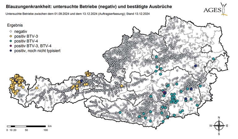 Blauzungenkrankheit untersuchte Betriebe (negativ) und bestätigte Ausbrüche.png