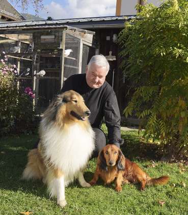 sb51_mb_hunde.jpg © Dürnberger sb51_mb_hunde.jpg © Dürnberger