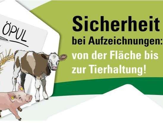 Schweinderl.jpg © LK NÖ Schweinderl.jpg © LK NÖ