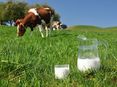 Milch © stock.adobe.com