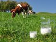 Milch © stock.adobe.com