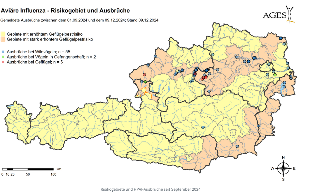 2024-12-18 11.33.41 - Vogelgrippe - AGES und 6 weitere Seiten - Geschäftlich – Microsoft​ Edge.png