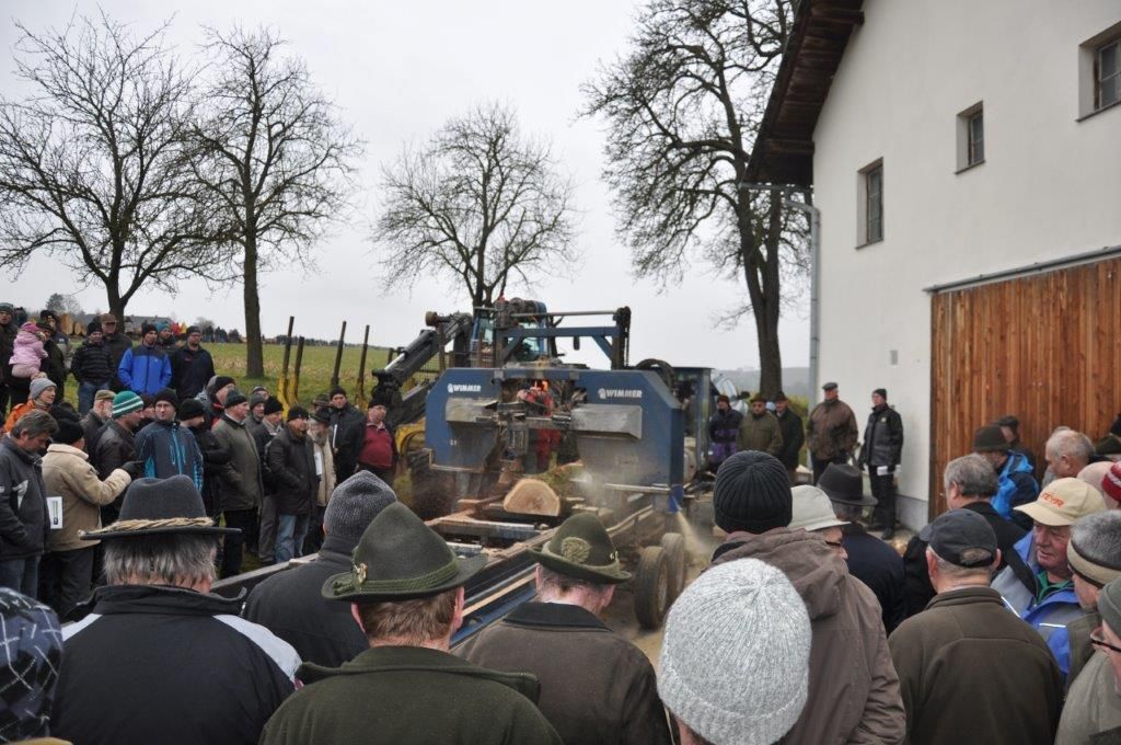 Das Erkennen von Holzmerkmalen und ein Schauschnieden bilden den Schwerpunkt beim Aktionstag am 31. Jänner. © Waldverband OÖ