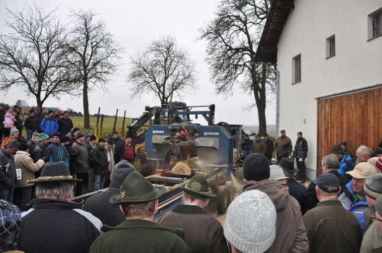 Das Erkennen von Holzmerkmalen und ein Schauschnieden bilden den Schwerpunkt beim Aktionstag am 31. Jänner. © Waldverband OÖ