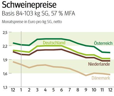 NÖ: Ausblick auf den Schweinemarkt im Jänner