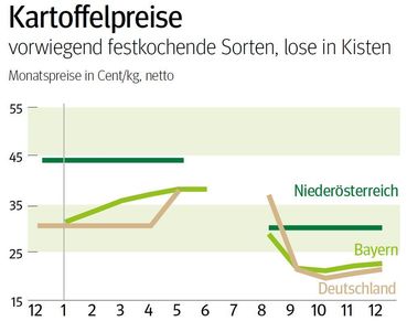 NÖ: Ausblick auf den Kartoffelmarkt im Jänner