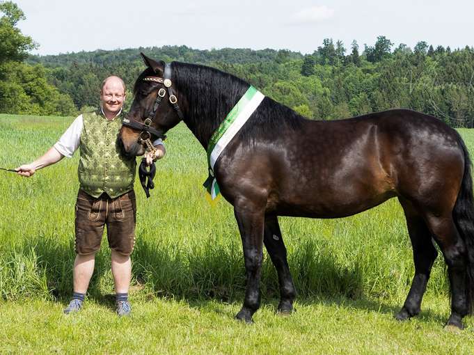 12_friedl.jpg © Archiv