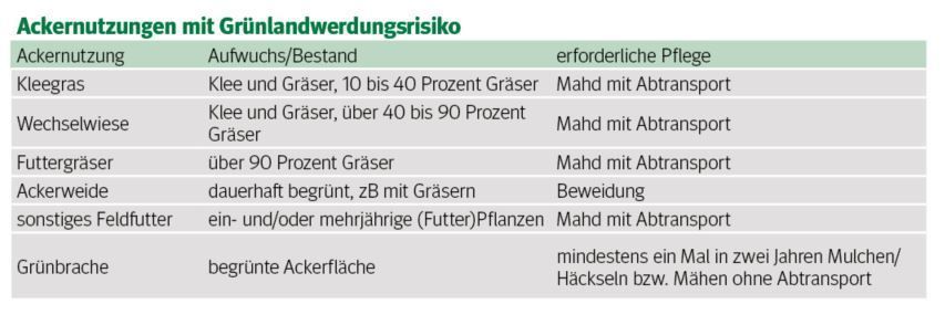 Ackernutzung gegen Grünlandwerdung.jpg